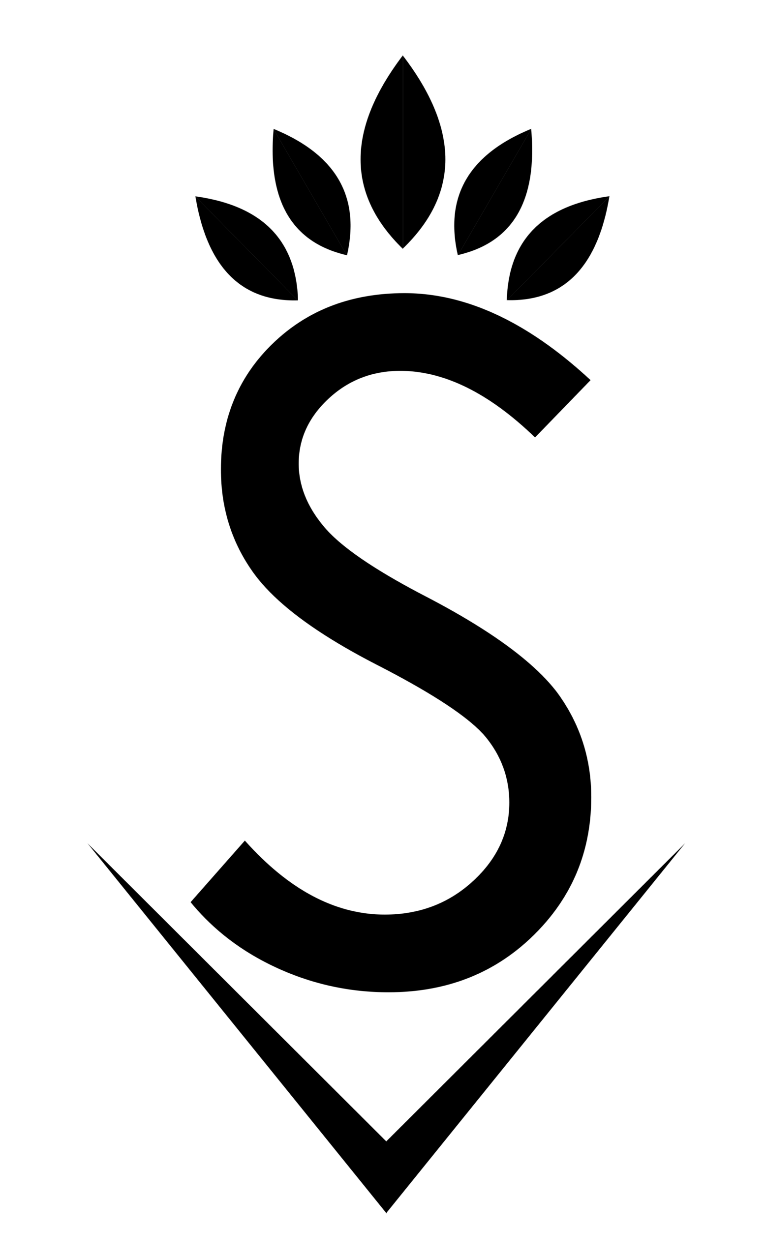 Sarfiato Joyeria